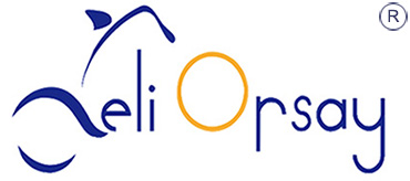 logo-Hebei Deli Orsay Technology Co., LTD